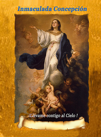 Lamina Inmaculada Concepción